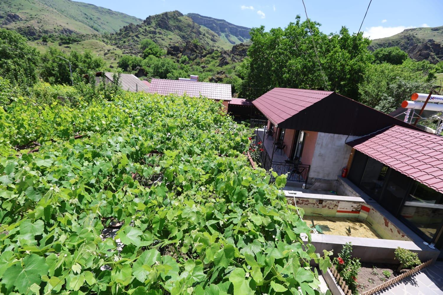 Hotel Tsiskari 瓦尔齐亚 外观 照片