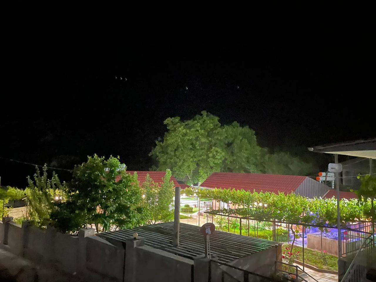 Hotel Tsiskari 瓦尔齐亚 外观 照片